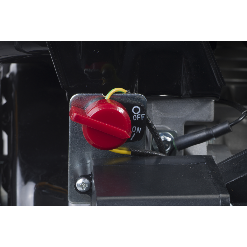 Balayeuse thermique SWS 800 G