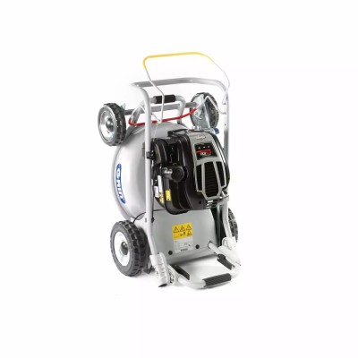 Tondeuse thermique GRIN HM46A B&S