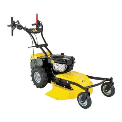 Faucheuse 4 roues Roques & Lecoeur 223 cc - 53 cm | Garden Diffusion